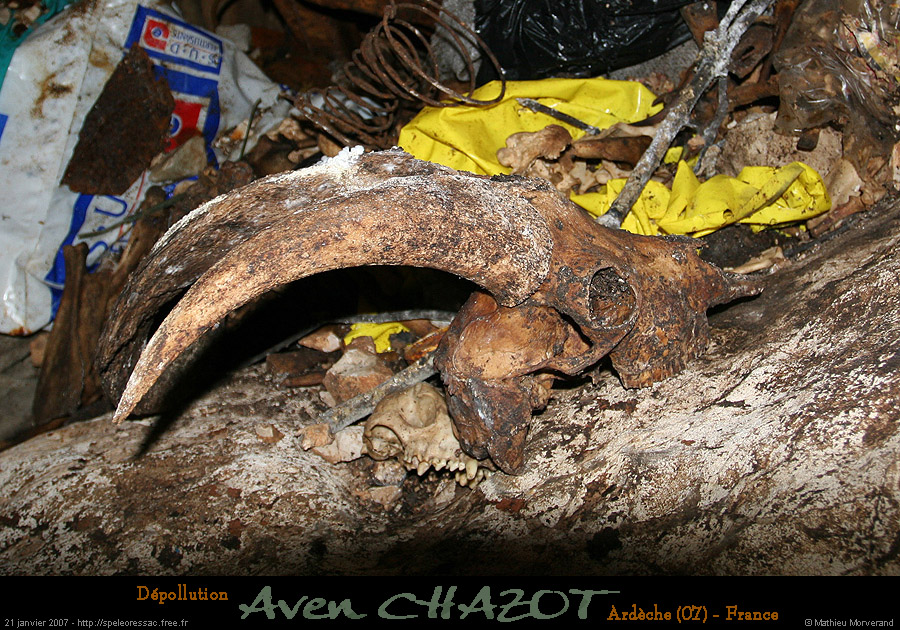 20070121_chazot15