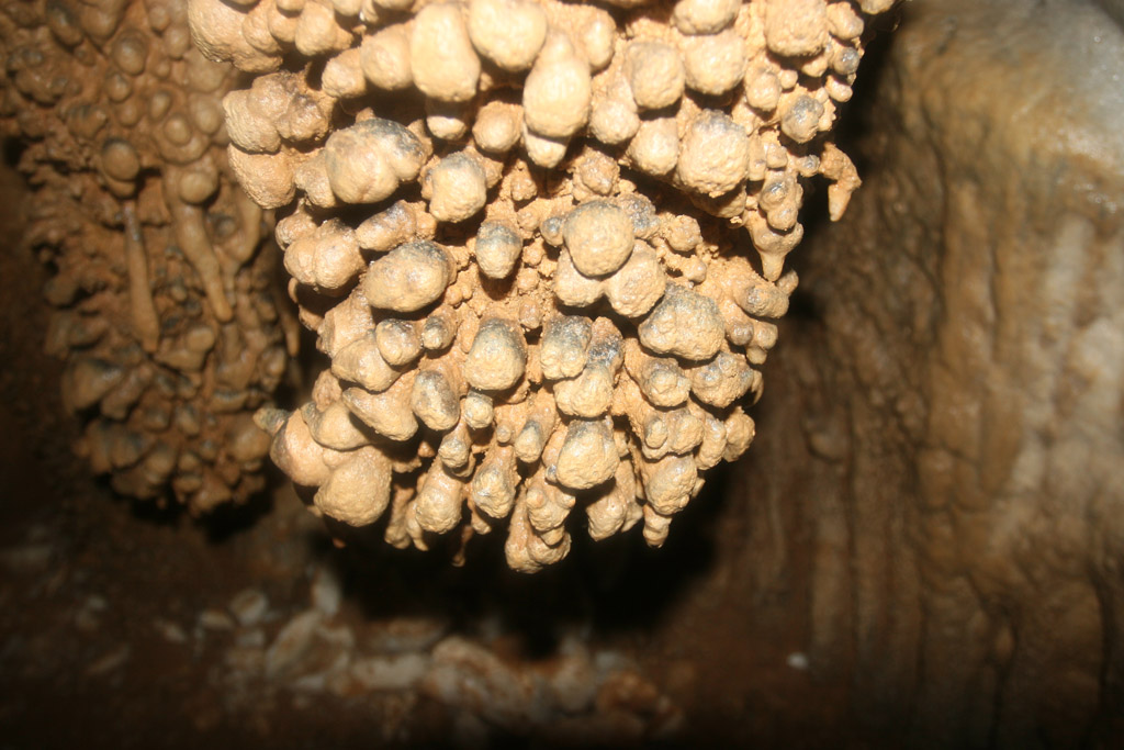 20100114_030