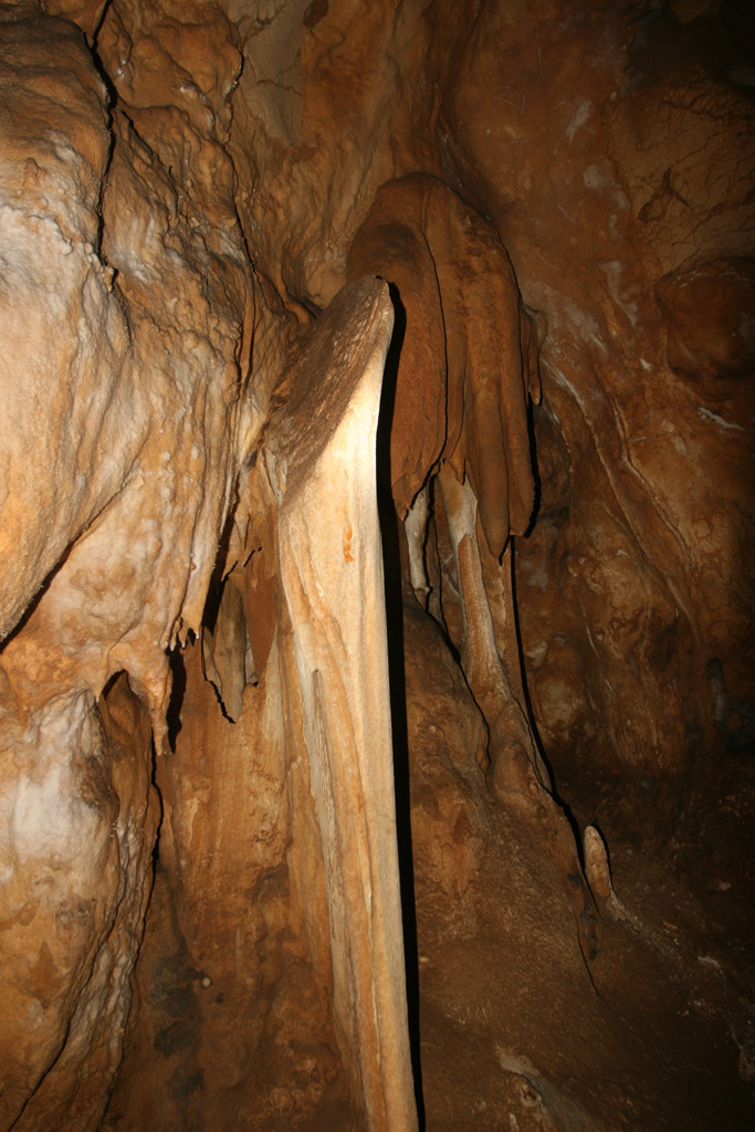 20100114_056