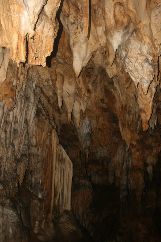 20100114_131