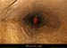 20070725_peyrejal103