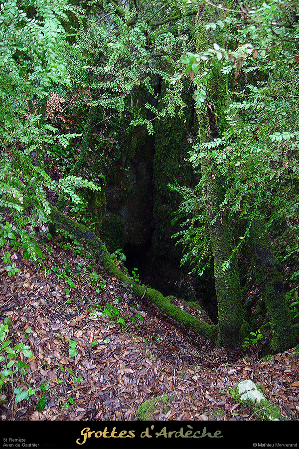 20020824_avendegauthier_entree_01