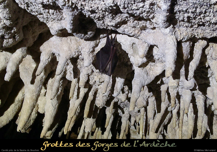 20121025_chames_grottespresbouchon