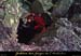 20041030_grottedel'ours_entreesuperieure_2