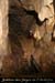 20100722_ours07