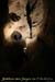 20100722_ours19
