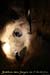 20100722_ours20