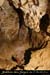 20100722_ours24