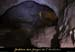 20100722_ours27