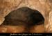 20100722_ours29