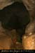 20121103_grottedelours_partiebasse2