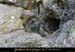 20110427_dragonniere_entree1