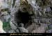 20110427_dragonniere_entree3