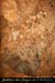 20110503_dragonnieregaud_chiro3