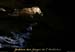 20110705_dragonnieredegaudsortie1
