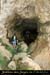 20130602_dragonnieredegaud_entree