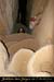20080302_grotteechelle_gours05