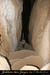 20080302_grotteechelle_gours08