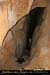 20080302_grotteechelle_gours12
