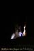 20080302_grotteechelle_gours14