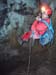 20061022_cordier19