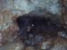 20061022_cordier20