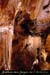 20010617_grottemadeleine_35