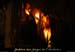 20080408_madeleine09
