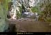 20010625_avenmarzal_entreenaturelle