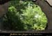 20090709_grottemiracles3