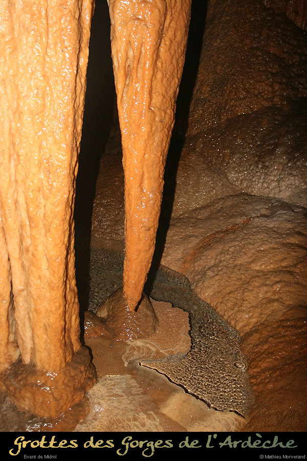 20091030_081