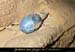 20090117_grotteserredetourre_23