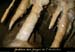 20090117_grotteserredetourre_30