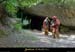 20010602_grottestmarcel_entreenaturelle_1