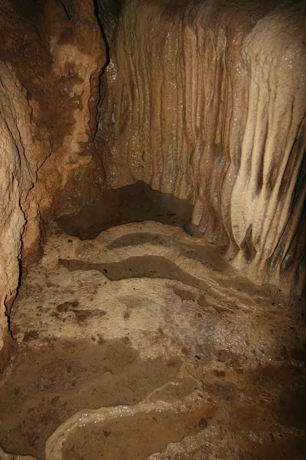 n442808e0041918_022
