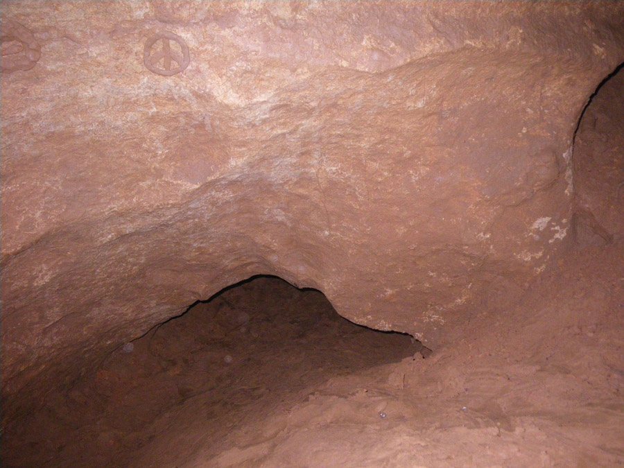 n442808e0041918_065