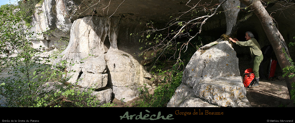 20090418_grotteplataneentree01