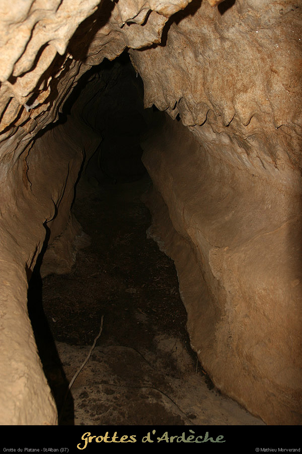 20090418_grotteplatanein08