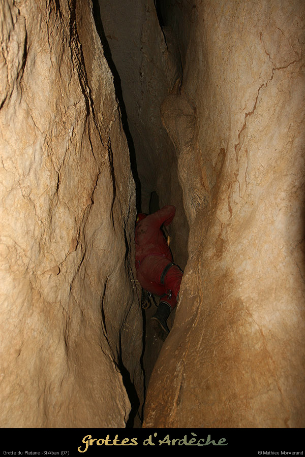 20090418_grotteplatanein20