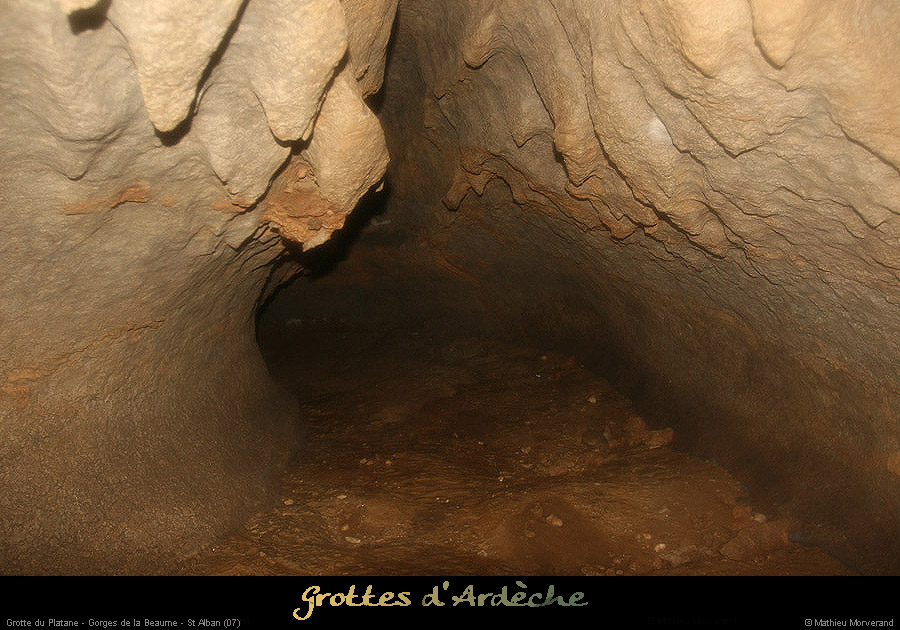 20090418_grotteplatanein31