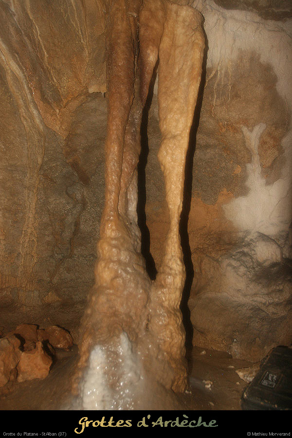 20090418_grotteplatanein34