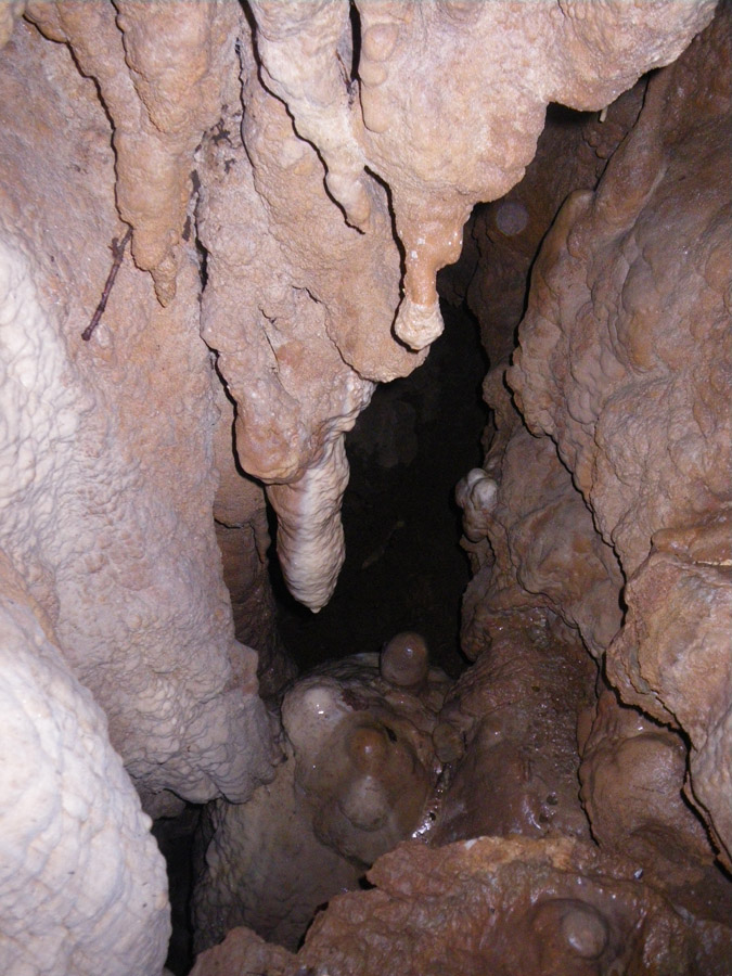 n442821e0041910_019
