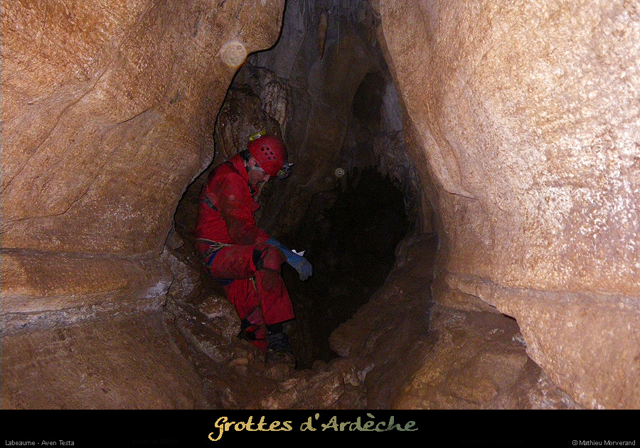 20100109testa_20