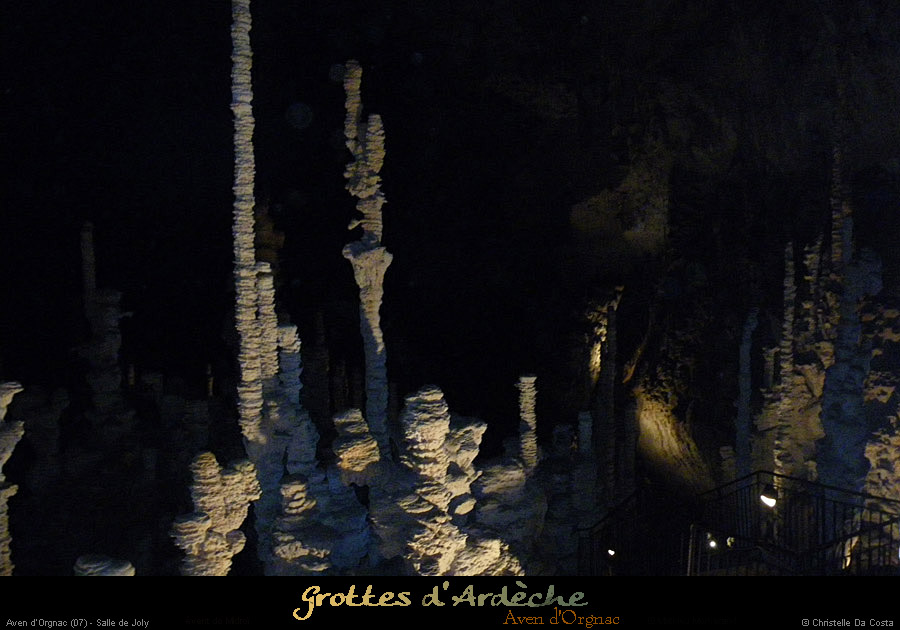 20090524_orgnac005cda
