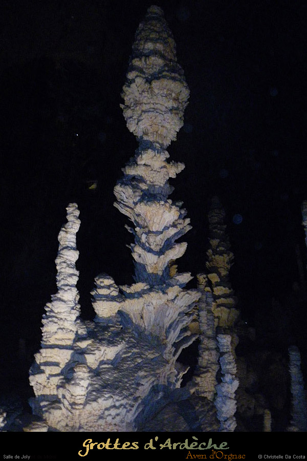 20090524_orgnac011cda