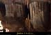 20090524_orgnac038eh