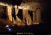 20090524_orgnac045eh