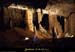20090524_orgnac047eh