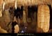 20090524_orgnac052eh