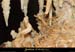 20090524_orgnac090eh
